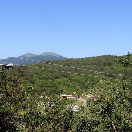 Dilijan Town Inn Zewnętrze zdjęcie