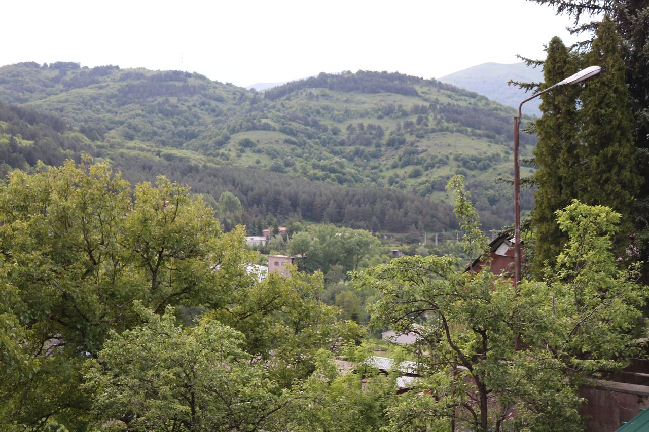Dilijan Town Inn Zewnętrze zdjęcie